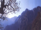 Great Himalayan National Park Trekking through Tirthan and Sainj Valley